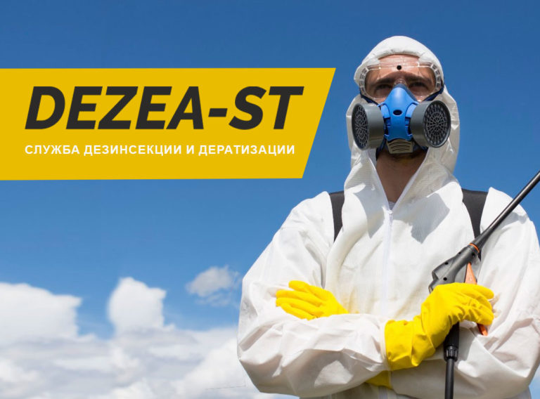Сайт-визитка DEZEA-ST служба дезинсекции и дератизации