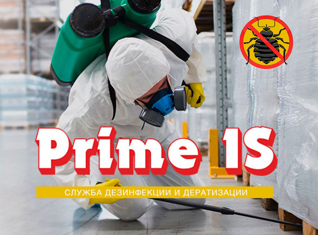 Служба дезинфекции и дератизации Prime Is